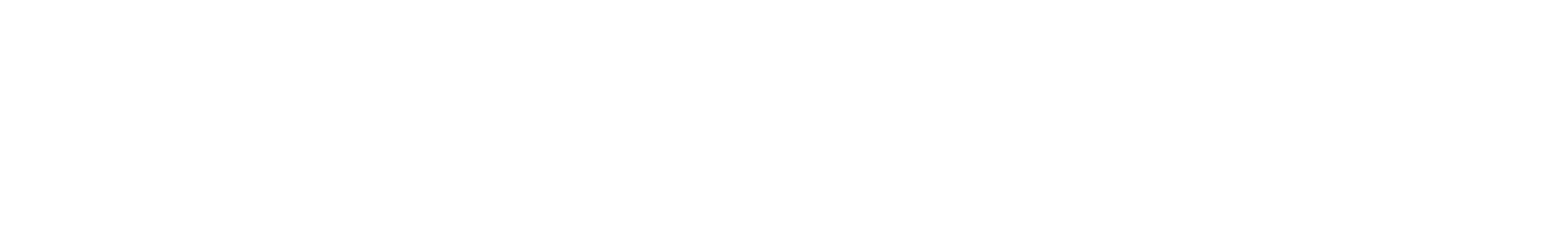 Ardillon Studio Logo
